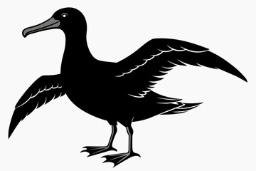 Albatross silhouette on white background, Vector illustration,icon,svg,characters,Holiday t shirt,Hand drawn trendy Vector illustration