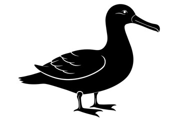 Albatross silhouette on white background, Vector illustration,icon,svg,characters,Holiday t shirt,Hand drawn trendy Vector illustration