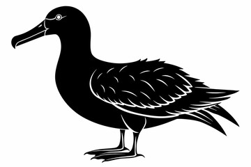 Albatross silhouette on white background, Vector illustration,icon,svg,characters,Holiday t shirt,Hand drawn trendy Vector illustration