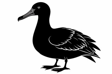 Albatross silhouette on white background, Vector illustration,icon,svg,characters,Holiday t shirt,Hand drawn trendy Vector illustration
