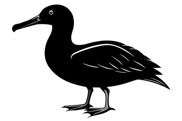 Albatross silhouette on white background, Vector illustration,icon,svg,characters,Holiday t shirt,Hand drawn trendy Vector illustration