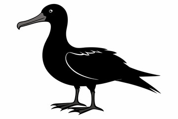 Albatross silhouette on white background, Vector illustration,icon,svg,characters,Holiday t shirt,Hand drawn trendy Vector illustration