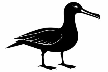 Albatross silhouette on white background, Vector illustration,icon,svg,characters,Holiday t shirt,Hand drawn trendy Vector illustration