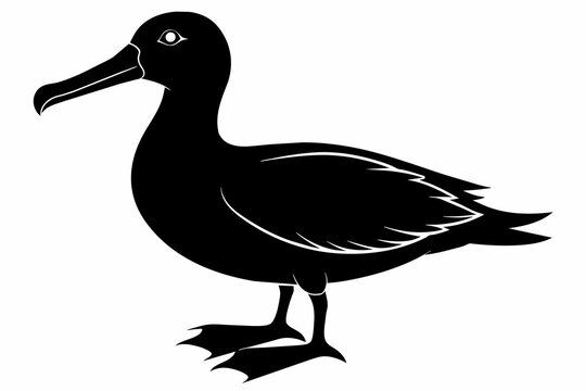 recommend clip art: Albatross silhouette on white background, Vector illustration,icon,svg,characters,Holiday t shirt,Hand drawn trendy Vector illustration