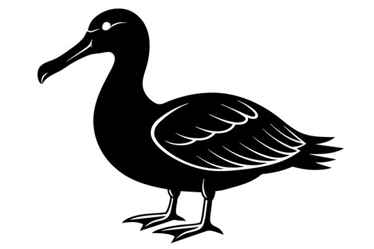 recommend clip art: Albatross silhouette on white background, Vector illustration,icon,svg,characters,Holiday t shirt,Hand drawn trendy Vector illustration