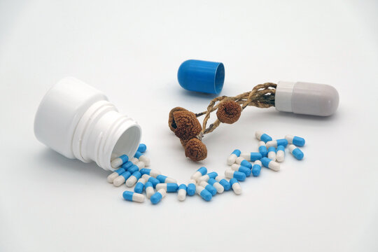 Psilocybin mushrooms next to regular medicine.