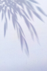 背景イラスト_木漏れ日