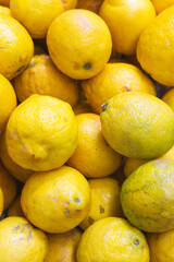 Lemons on the market. Juicy lemons background. Yellow fruits. Heap of ripe lemons. Yellow color background. Citrus harvest. Healthy eating. Vitamins and antioxidant. 