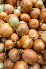 Yellow onions on market stall. Unpeeled onions in box. Onion bulbs background. Heap of organic vegetables. White onion harvest. 