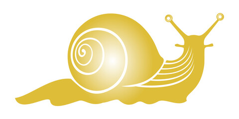 snail vector