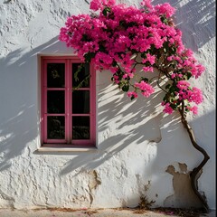 A Pink window and a Pink flowers in front of white wall 