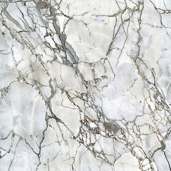 Elegant White Marble Texture With Grey Veins