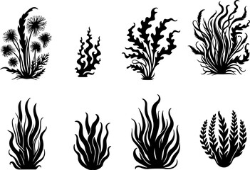 Plantes sous marines, corail isolé, vecteur noir fond transparent