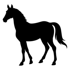 Obraz premium silhouette of a horse