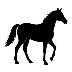 Obraz premium silhouette of a horse