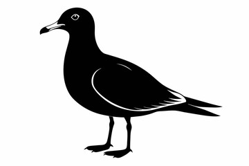 Seagull silhouette on white background, Vector illustration, icon, svg, characters, Holiday t shirt, Hand drawn trendy Vector illustration