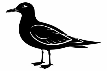 Seagull silhouette on white background, Vector illustration, icon, svg, characters, Holiday t shirt, Hand drawn trendy Vector illustration