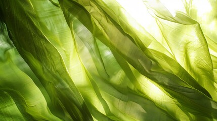 Light green colour textile background. background of textiles through which sunlight shines through. textiles develop in the wind. copy space. fabric background. 