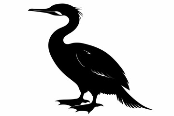 Cormorant silhouette on white background, Vector illustration, icon, svg, characters, Holiday t shirt, Hand drawn trendy Vector illustration