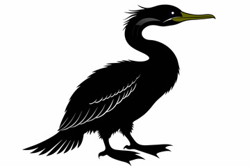 Cormorant silhouette on white background, Vector illustration, icon, svg, characters, Holiday t shirt, Hand drawn trendy Vector illustration