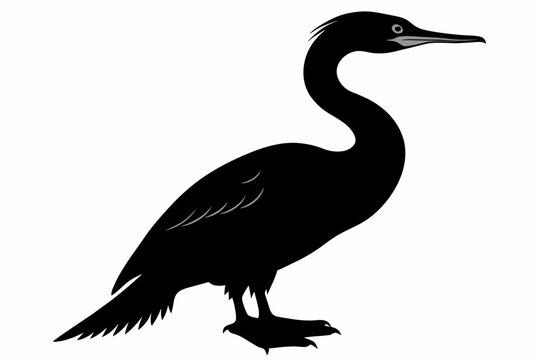 recommend clip art: Cormorant silhouette on white background, Vector illustration, icon, svg, characters, Holiday t shirt, Hand drawn trendy Vector illustration