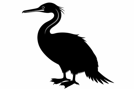 recommend clip art: Cormorant silhouette on white background, Vector illustration, icon, svg, characters, Holiday t shirt, Hand drawn trendy Vector illustration