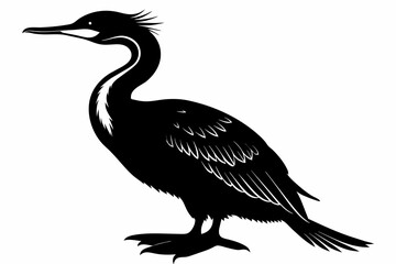 Cormorant silhouette on white background, Vector illustration, icon, svg, characters, Holiday t shirt, Hand drawn trendy Vector illustration