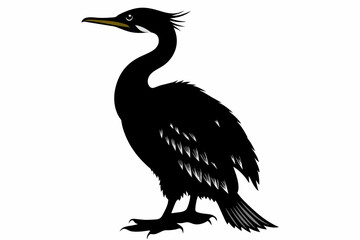 Cormorant silhouette on white background, Vector illustration, icon, svg, characters, Holiday t shirt, Hand drawn trendy Vector illustration