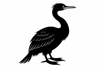 Cormorant silhouette on white background, Vector illustration, icon, svg, characters, Holiday t shirt, Hand drawn trendy Vector illustration