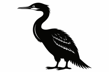 Cormorant silhouette on white background, Vector illustration, icon, svg, characters, Holiday t shirt, Hand drawn trendy Vector illustration