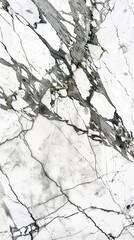 Obraz premium Elegant White Marble Texture With Grey Veins