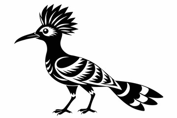 Hoopoe silhouette on white background, Vector illustration, icon, svg, characters, Holiday t shirt, Hand drawn trendy Vector illustration