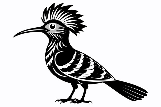 recommend clip art: Hoopoe silhouette on white background, Vector illustration, icon, svg, characters, Holiday t shirt, Hand drawn trendy Vector illustration