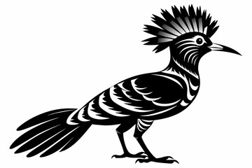 Fototapeta premium Hoopoe silhouette on white background, Vector illustration, icon, svg, characters, Holiday t shirt, Hand drawn trendy Vector illustration