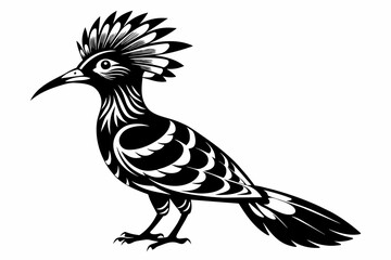 Hoopoe silhouette on white background, Vector illustration, icon, svg, characters, Holiday t shirt, Hand drawn trendy Vector illustration