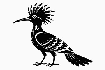 Obraz premium Hoopoe silhouette on white background, Vector illustration, icon, svg, characters, Holiday t shirt, Hand drawn trendy Vector illustration
