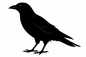 crow silhouette on white background, Vector illustration, icon, svg, characters, Holiday t shirt, Hand drawn trendy Vector illustration