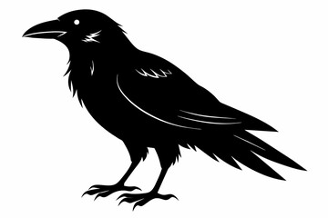 crow silhouette on white background, Vector illustration, icon, svg, characters, Holiday t shirt, Hand drawn trendy Vector illustration