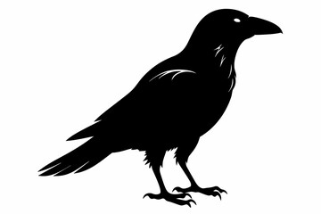 crow silhouette on white background, Vector illustration, icon, svg, characters, Holiday t shirt, Hand drawn trendy Vector illustration