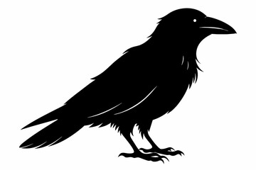 crow silhouette on white background, Vector illustration, icon, svg, characters, Holiday t shirt, Hand drawn trendy Vector illustration