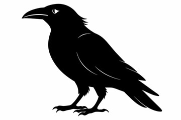 crow silhouette on white background, Vector illustration, icon, svg, characters, Holiday t shirt, Hand drawn trendy Vector illustration