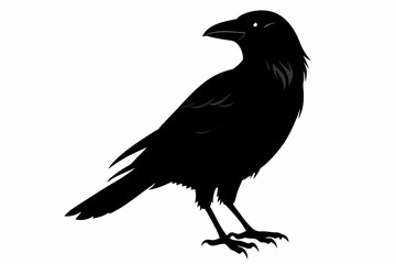 crow silhouette on white background, Vector illustration, icon, svg, characters, Holiday t shirt, Hand drawn trendy Vector illustration