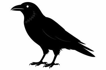 crow silhouette on white background, Vector illustration, icon, svg, characters, Holiday t shirt, Hand drawn trendy Vector illustration