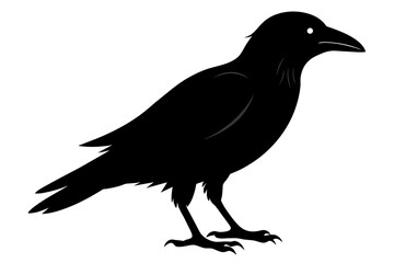 crow silhouette on white background, Vector illustration, icon, svg, characters, Holiday t shirt, Hand drawn trendy Vector illustration