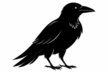 crow silhouette on white background, Vector illustration, icon, svg, characters, Holiday t shirt, Hand drawn trendy Vector illustration