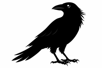 crow silhouette on white background, Vector illustration, icon, svg, characters, Holiday t shirt, Hand drawn trendy Vector illustration