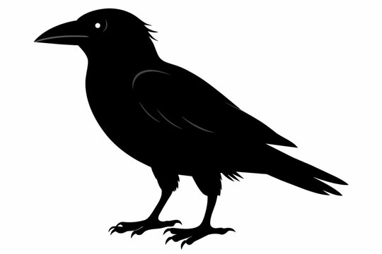 recommend clip art: crow silhouette on white background, Vector illustration, icon, svg, characters, Holiday t shirt, Hand drawn trendy Vector illustration