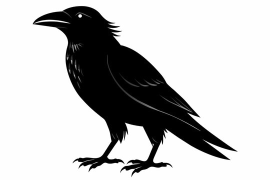 recommend clip art: crow silhouette on white background, Vector illustration, icon, svg, characters, Holiday t shirt, Hand drawn trendy Vector illustration