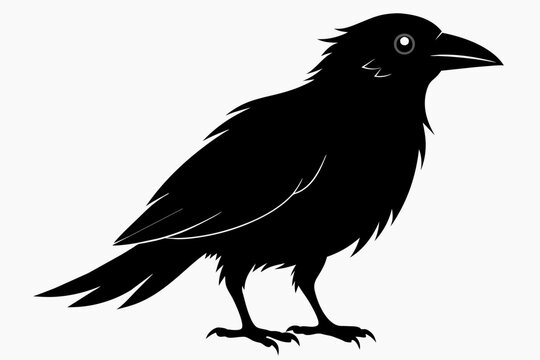 recommend clip art: crow silhouette on white background, Vector illustration, icon, svg, characters, Holiday t shirt, Hand drawn trendy Vector illustration