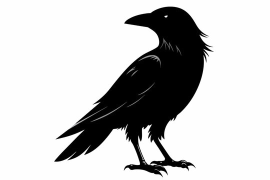 crow silhouette on white background, Vector illustration, icon, svg, characters, Holiday t shirt, Hand drawn trendy Vector illustration